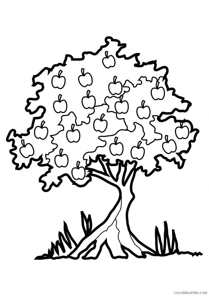 apple coloring pages apple tree Coloring4free