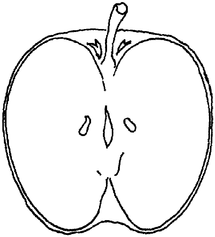 apple coloring pages free to print Coloring4free
