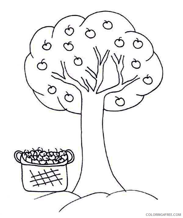 apple tree coloring pages Coloring4free