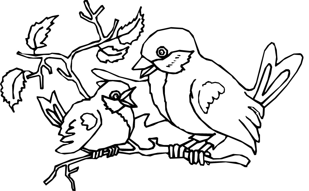 baby bird coloring pages and mom Coloring4free