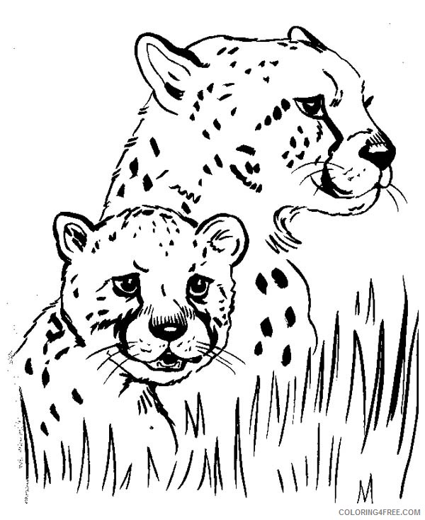 baby cheetah coloring pages with mom Coloring4free