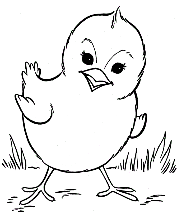 baby chicken coloring pages Coloring4free
