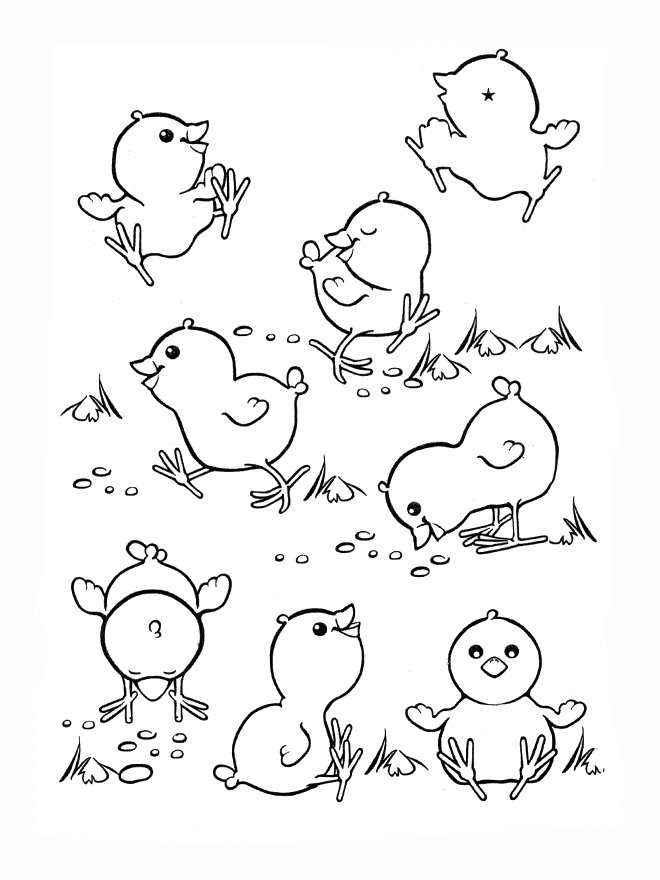 baby chicken coloring pages cute Coloring4free