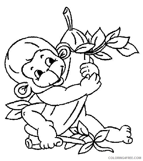 baby monkey coloring pages loves banana Coloring4free