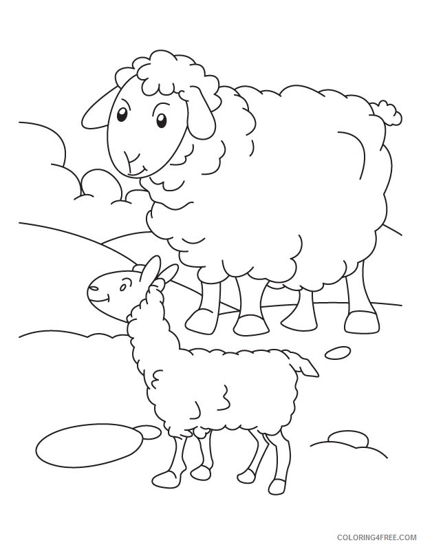 baby sheep and mom coloring pages Coloring4free