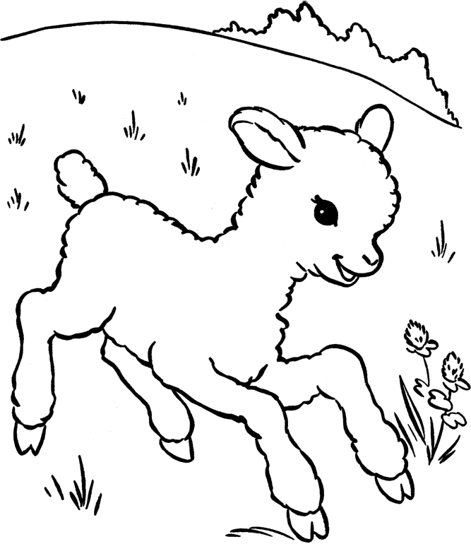 baby sheep coloring pages in grassland Coloring4free