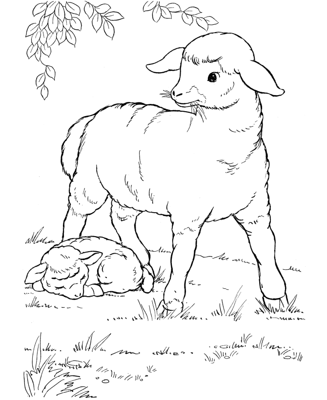 baby sheep coloring pages with mom Coloring4free