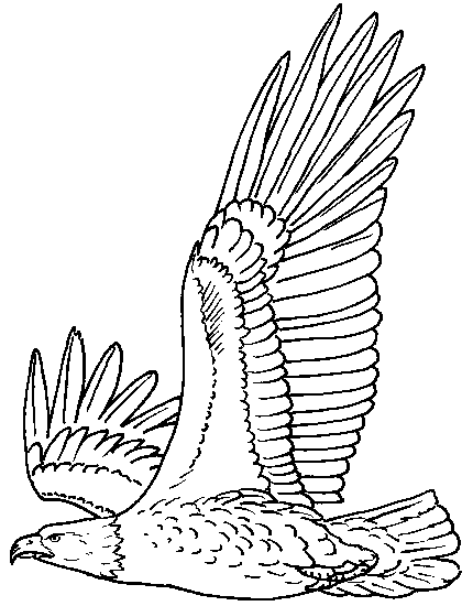 bald eagle coloring pages flying Coloring4free