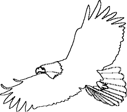 bald eagle coloring pages for kids 2 Coloring4free