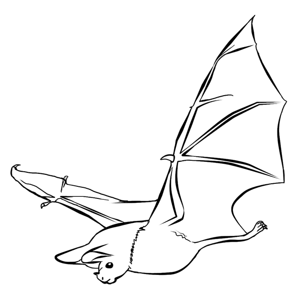 bat coloring pages flying Coloring4free