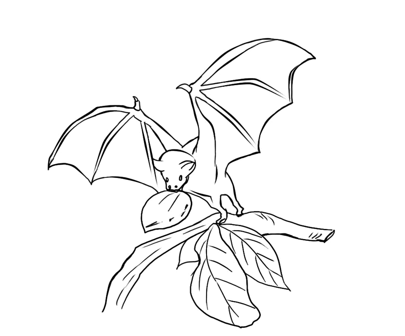 bat coloring pages free to print Coloring4free