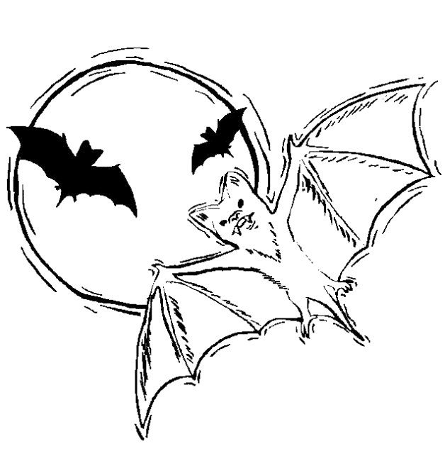 bat coloring pages moon night Coloring4free