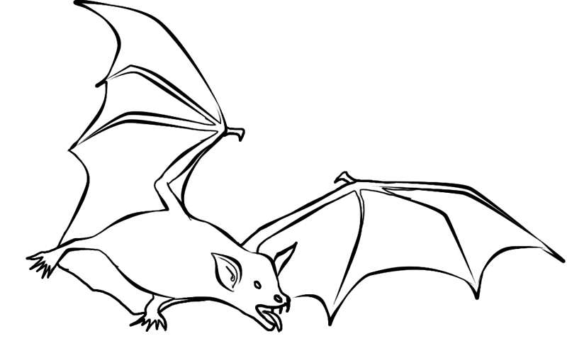 bat coloring pages printable free Coloring4free