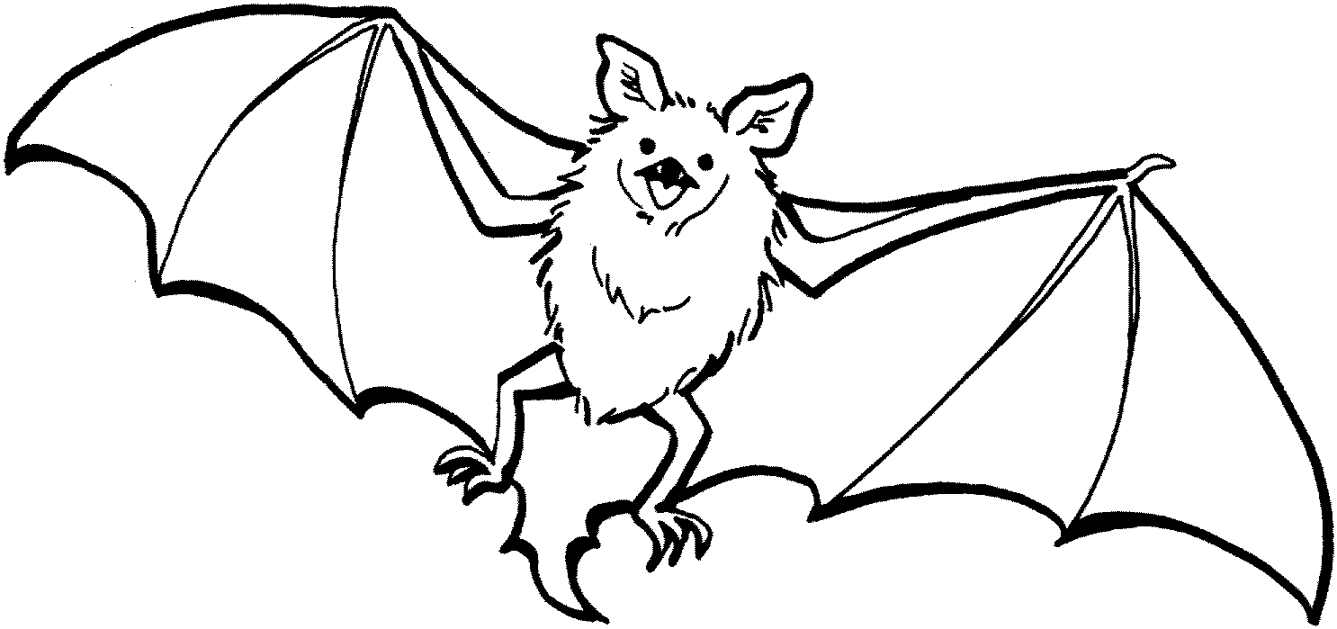 bat coloring pages to print Coloring4free