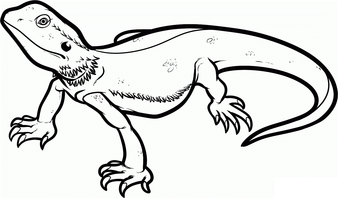 bearded dragon lizard coloring pages Coloring4free