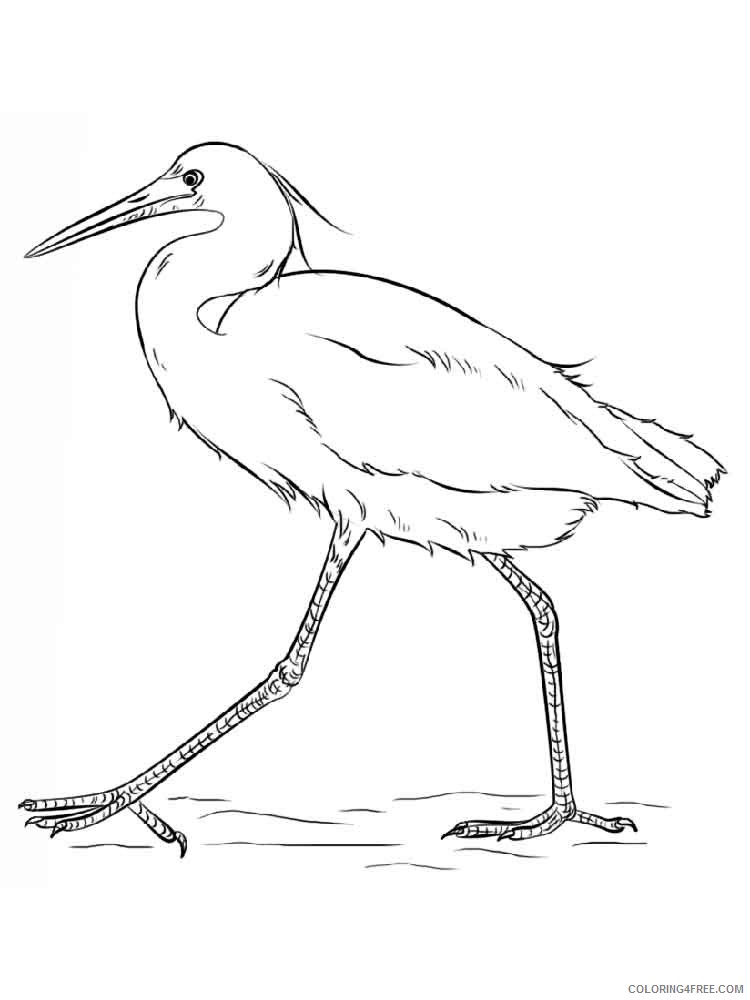 bird coloring pages printable Coloring4free