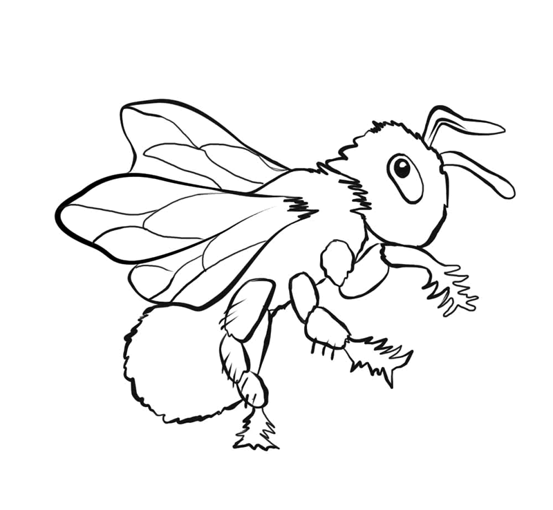 bug coloring pages bee Coloring4free