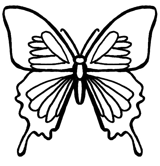 bug coloring pages butterfly Coloring4free