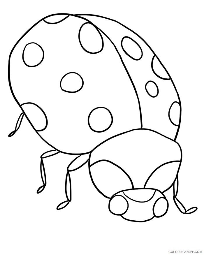 bug coloring pages for toddler Coloring4free