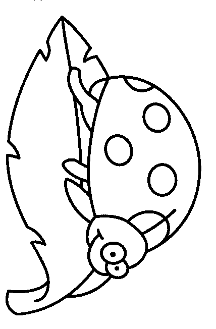 bug coloring pages ladybug on leaf Coloring4free