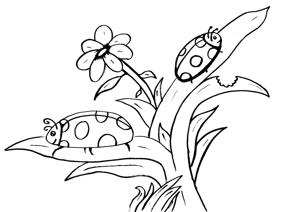 bug coloring pages ladybugs and flower Coloring4free