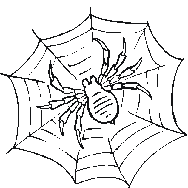 bug coloring pages spider Coloring4free
