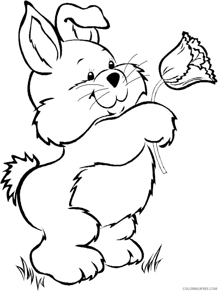 bunny coloring pages holding flower Coloring4free