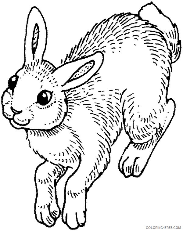 bunny coloring pages hopping Coloring4free
