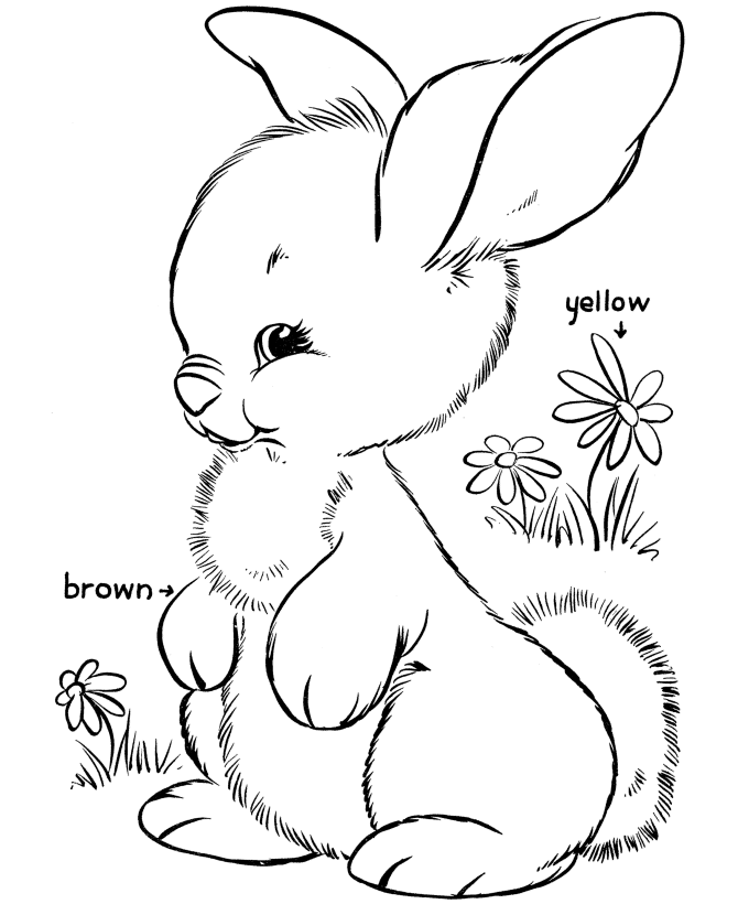 bunny coloring pages printable Coloring4free