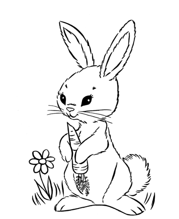 bunny coloring pages with carrot and flower Coloring4free