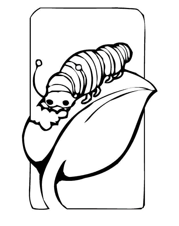 caterpillar coloring pages free Coloring4free