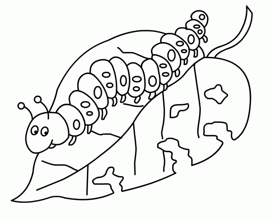 caterpillar coloring pages on a leaf Coloring4free