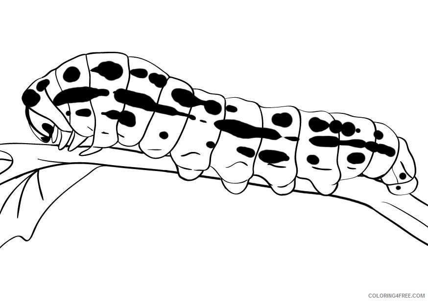 caterpillar coloring pages printable Coloring4free