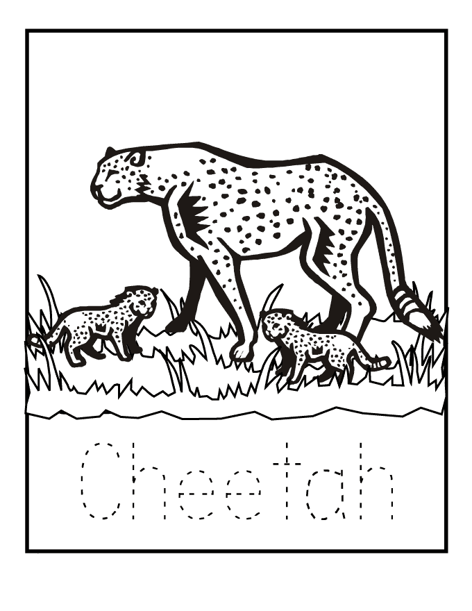 cheetah coloring pages c for cheetah Coloring4free
