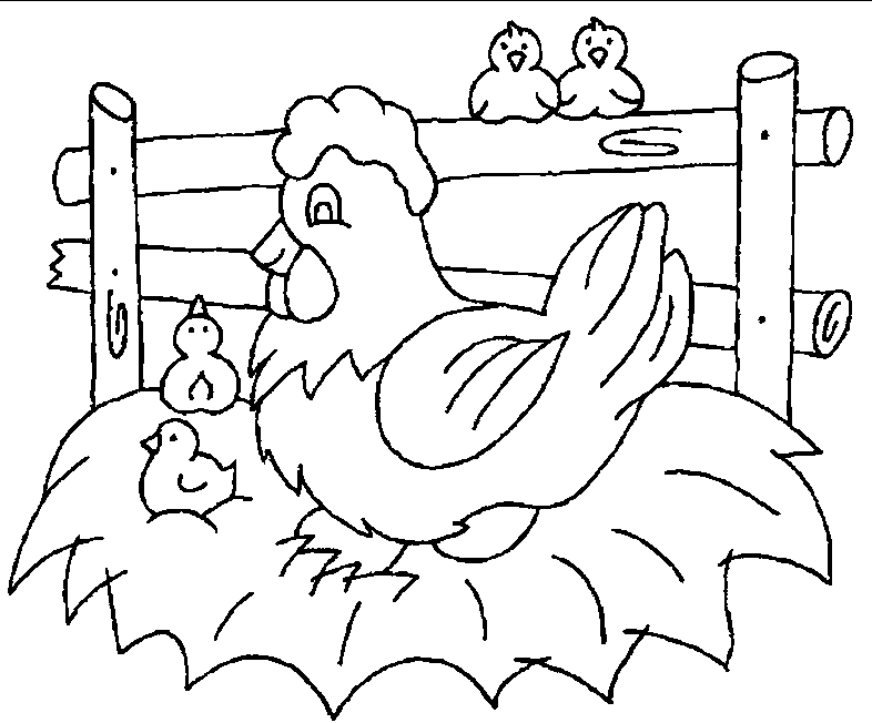 chicken coloring pages broody hen Coloring4free