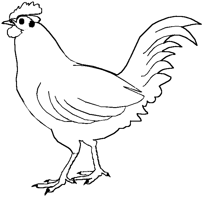 chicken coloring pages cock Coloring4free