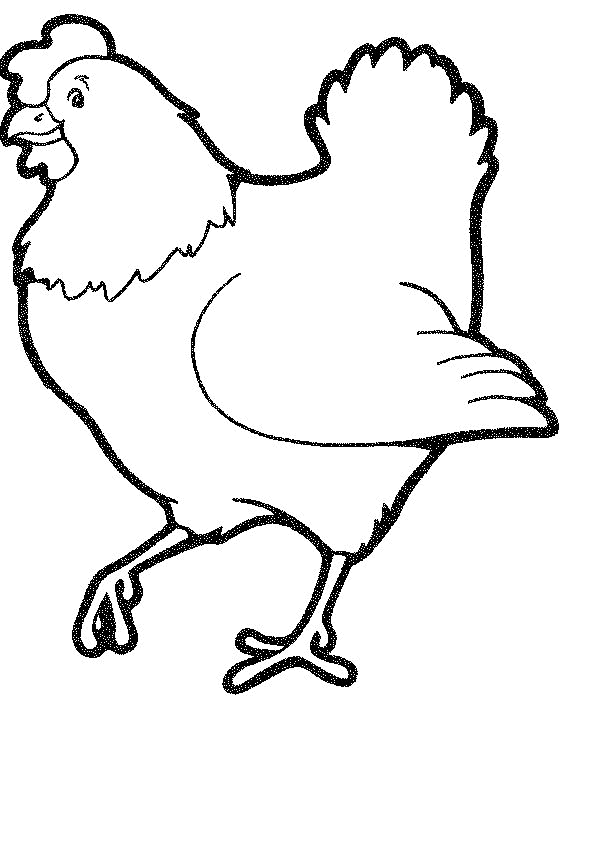 chicken coloring pages hen Coloring4free