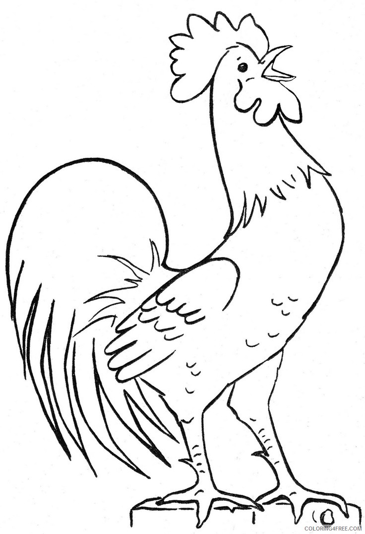 chicken coloring pages rooster Coloring4free