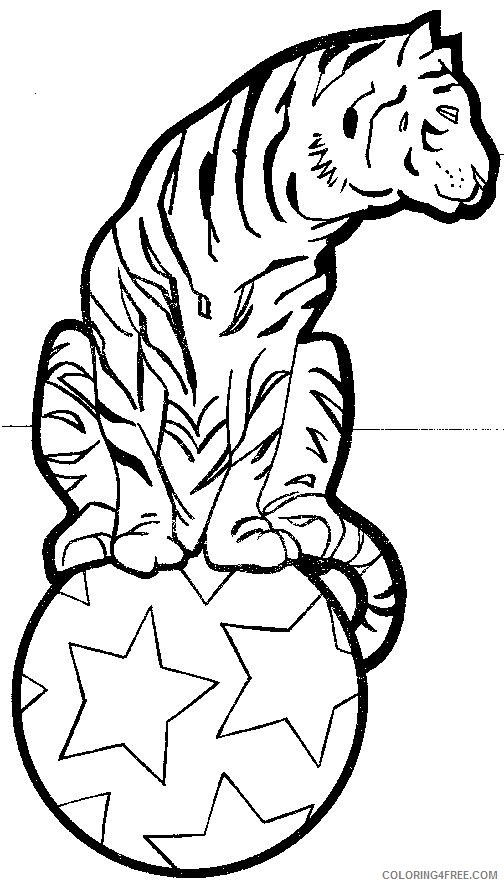 circus coloring pages tiger Coloring4free