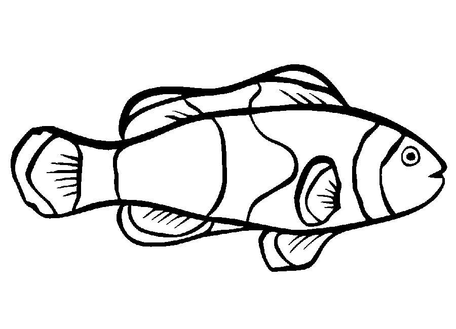 clown fish coloring pages Coloring4free