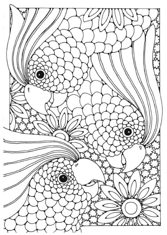 complex coloring pages abstract birds Coloring4free