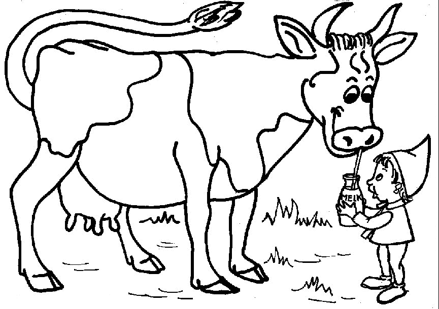 cow coloring pages drinking milk Coloring4free