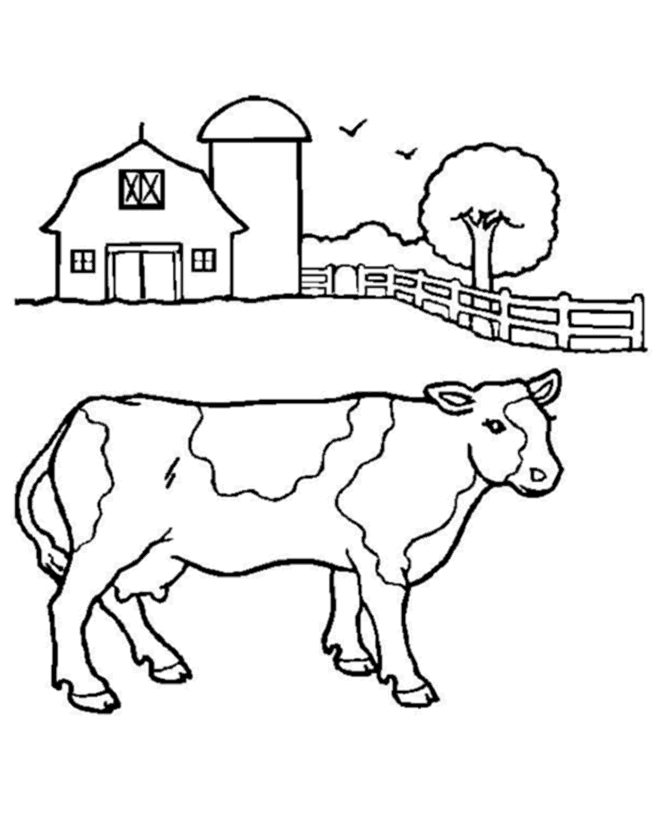 cow coloring pages in farms Coloring4free