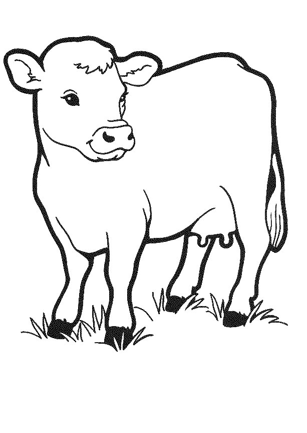 cow coloring pages in meadow Coloring4free