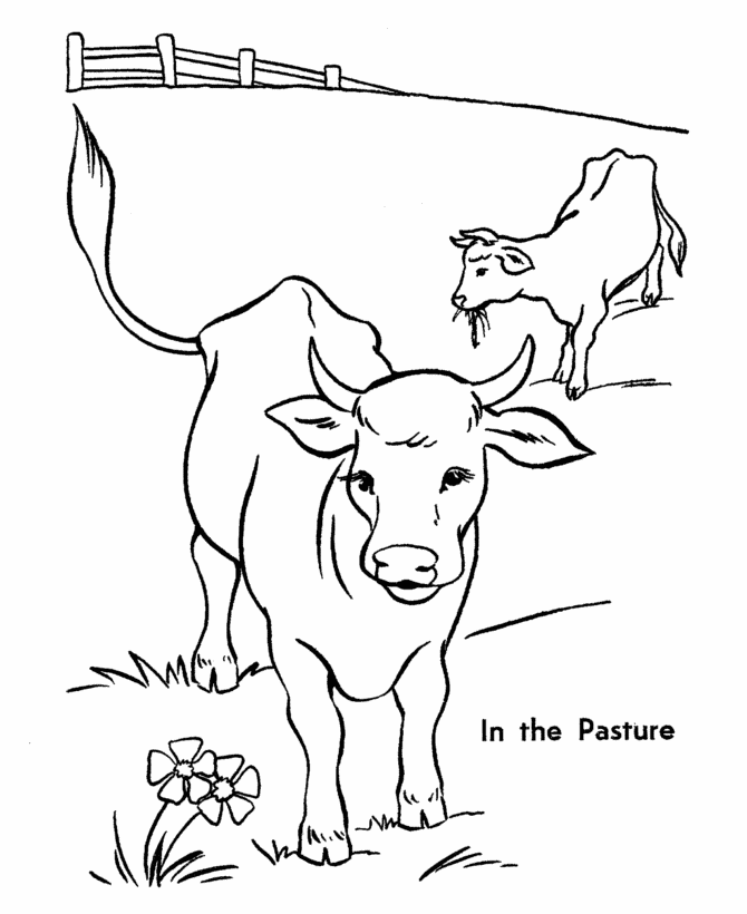 cow coloring pages in the pasture Coloring4free