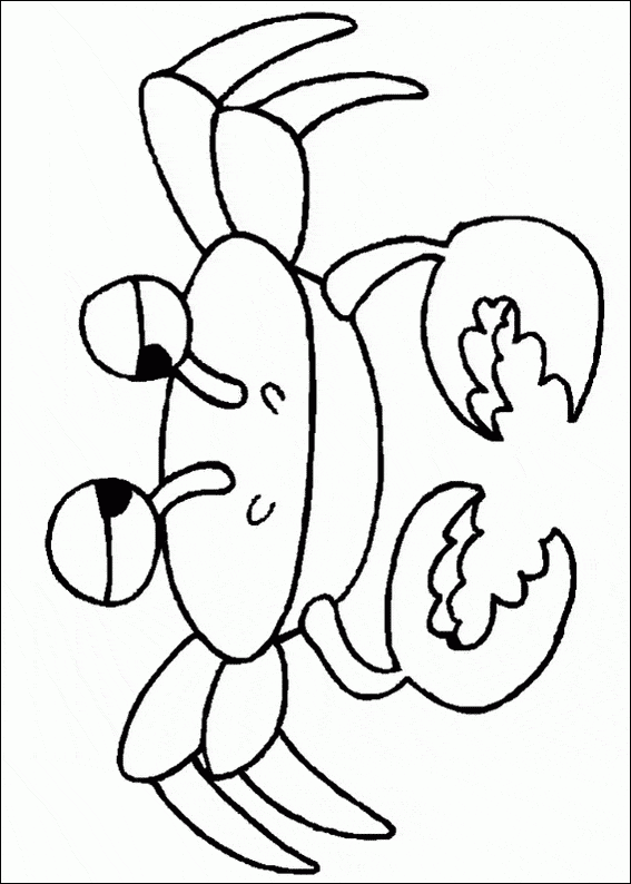 crab coloring pages for toddlers Coloring4free