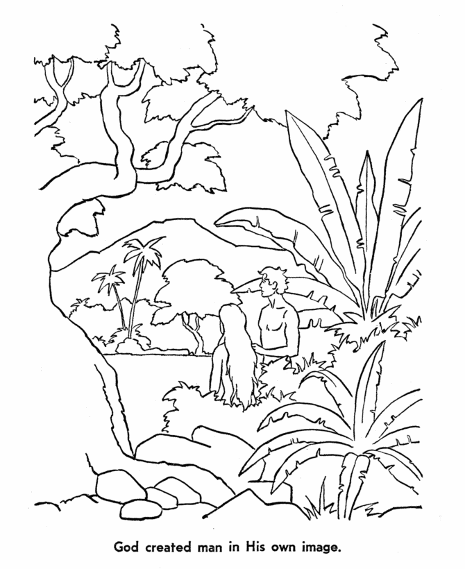 creation coloring pages in day 6 Coloring4free