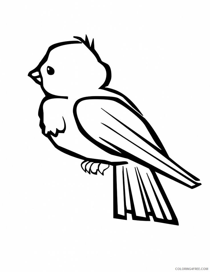 cute bird coloring pages for kids Coloring4free