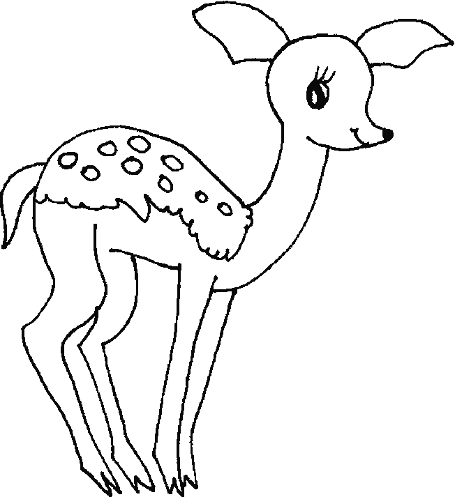 cute deer coloring pages for kids Coloring4free