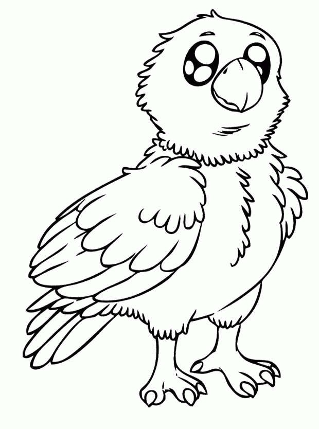 cute eagle coloring pages Coloring4free